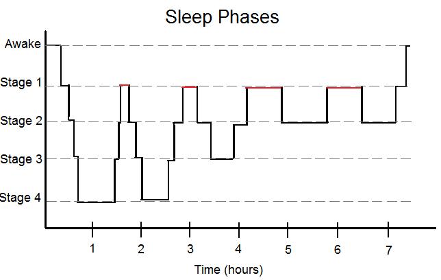 File:Simplified Sleep Phases.jpg
