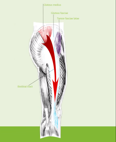 Diagnosing Lateral Thigh Pain: IT band syndrome, Hip Bursitis and referred  Back pain - Reid Clinic