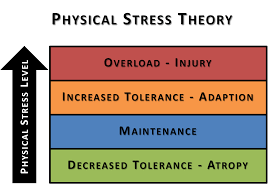 Physical Stress theory.png