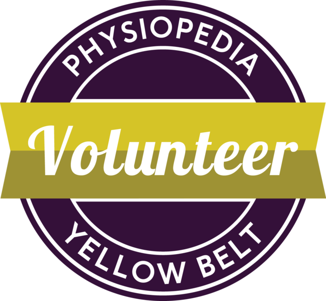 File:648px-Yellow-belt.png