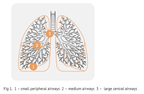 Chronic Obstructive Pulmonary Disease - ppt download