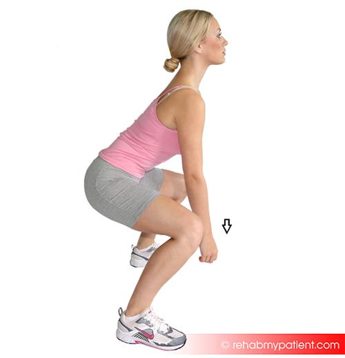 File:Double leg squat.jpg