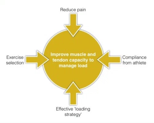File:Management of tendinopathy.png