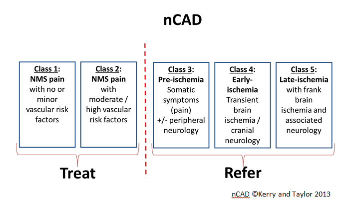 Figure 2: The Nottingham CAD (nCAD) classification