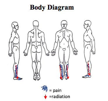 File:Body Diagram.png