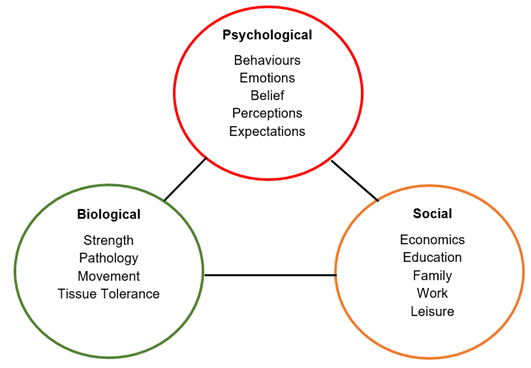 File:Biopsychosocial Model in Physiotherapy .png