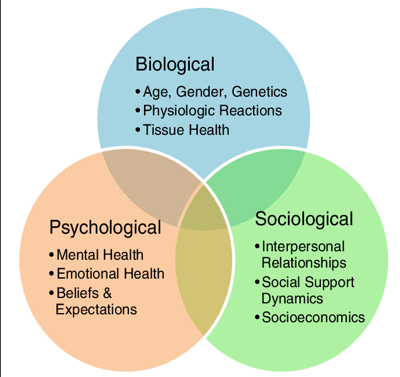 File:Biopsychosocial model.png