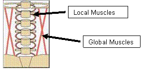 File:Local vs global ms.png
