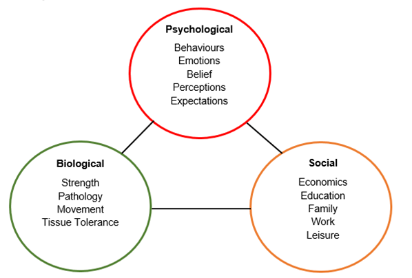 File:Figure 2 The Biopsychosocial Model.png