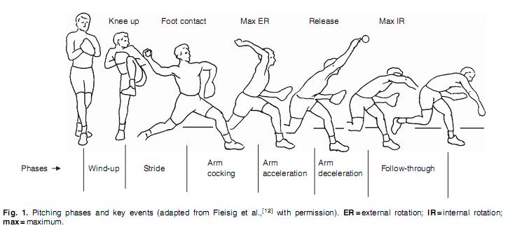 phases of throwing a football