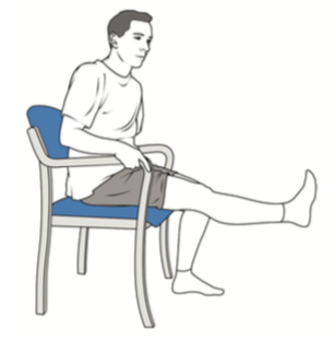 File:Extension of the knee sitting.png