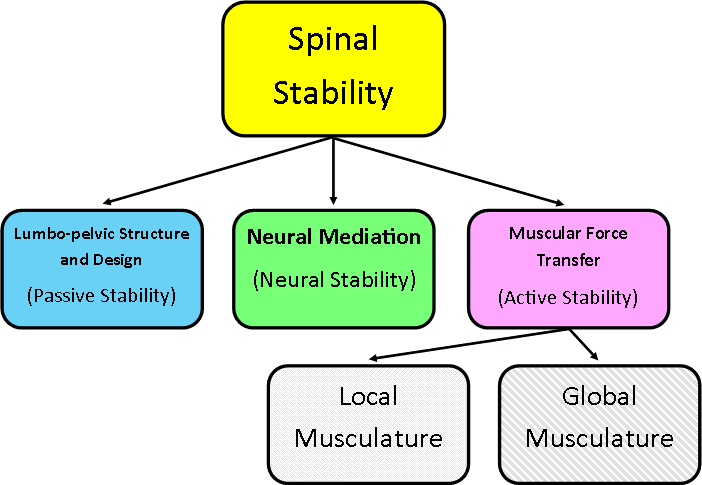 File:Panjabi Model of Stability.png
