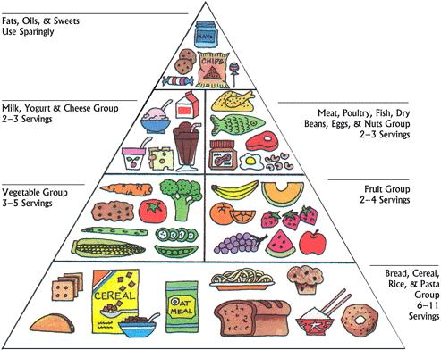 File:Food pyramid usda.jpg