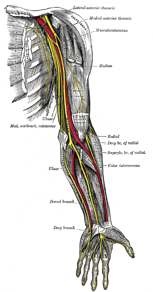 Ulnar Nerve Pain in Your Elbow or Wrist