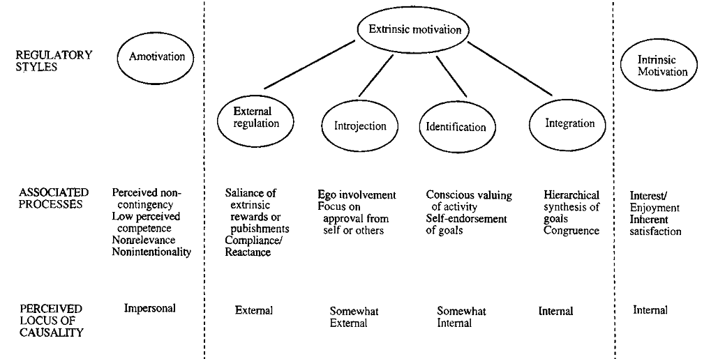 Taxonomy of human motivation. Ryan & Deci (2000)