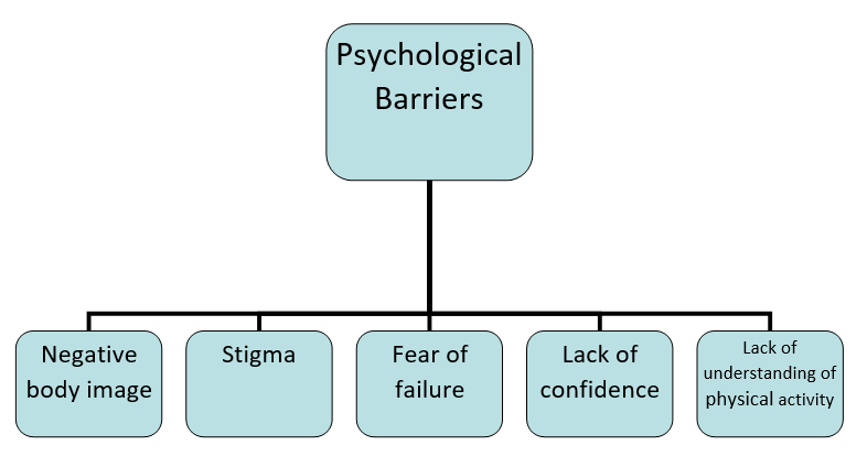 File:Psychological barriers.png