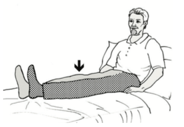 File:Contraction of the quadriceps.png