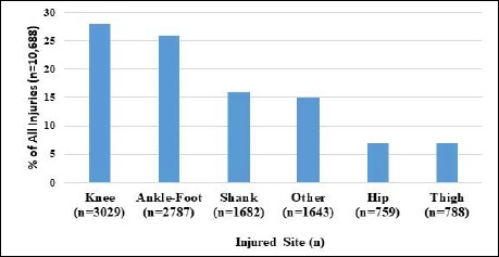 File:Injury Proportions by anatomical site.jpg