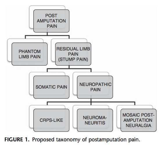 File:Proposed-taxonomy-postamputation-pain.png