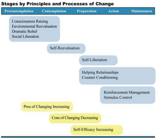 Stages by principles and processes of change.PNG