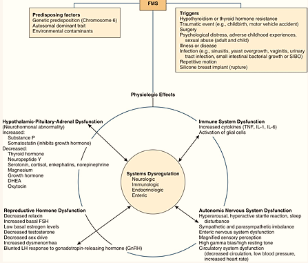 File:FMS physiologic Effects.png