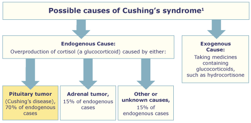 Cushing Syndrome: Causes, Symptoms & Treatment