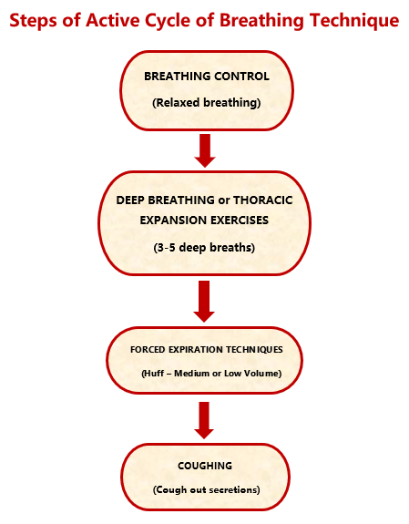 File:The Active Cycle of Breathing Technique..png