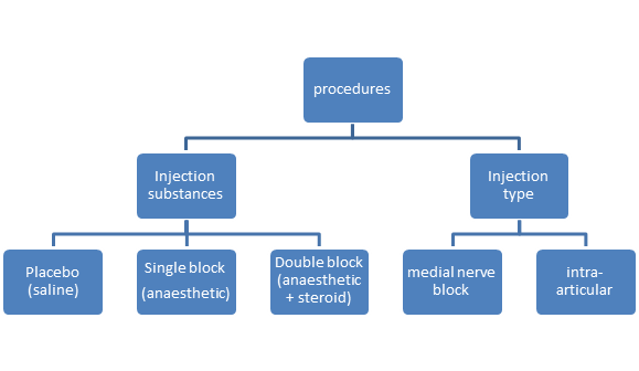 File:Summary of procedures of facet joint injections.png