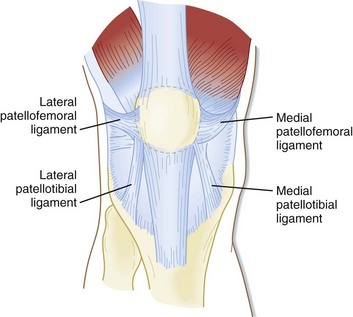 menucal ligament