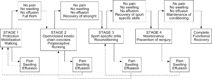 Comprehensive Approach to Core Training in Sports Physical Therapy