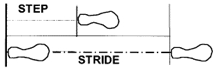File:Step and stride.png