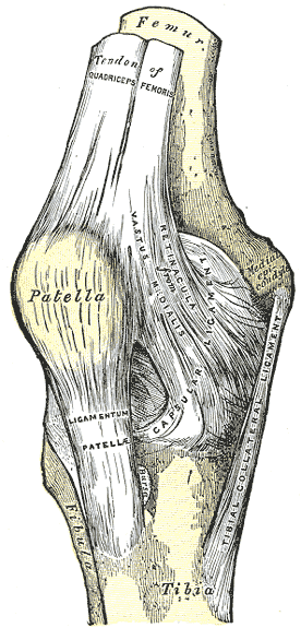 The J-sign, known as the lateral patellar tracking on anterior
