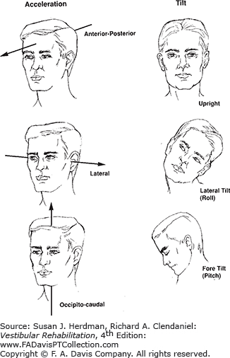 File:Head Movements.png