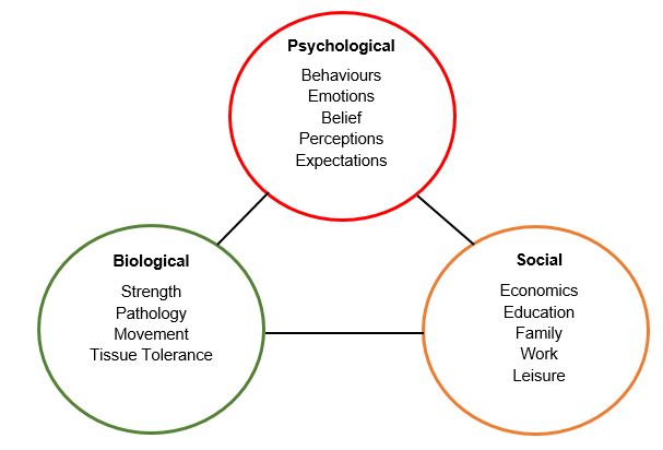 File:Biopsychosocial Model in Physiotherapy.png