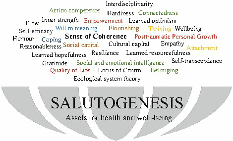 File:Salutogenesis.gif
