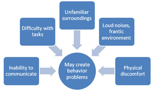 File:Various factors that may cause behavioural problems for those living with dementia 50.jpg