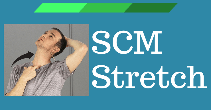 File:SCM-Stretch-Web-Image.png
