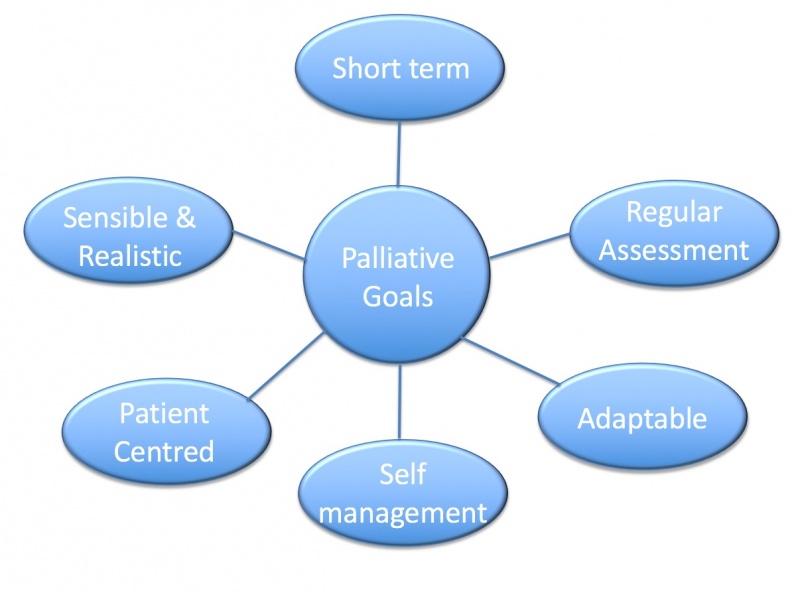 File:Palliative Goals Diagram.jpg