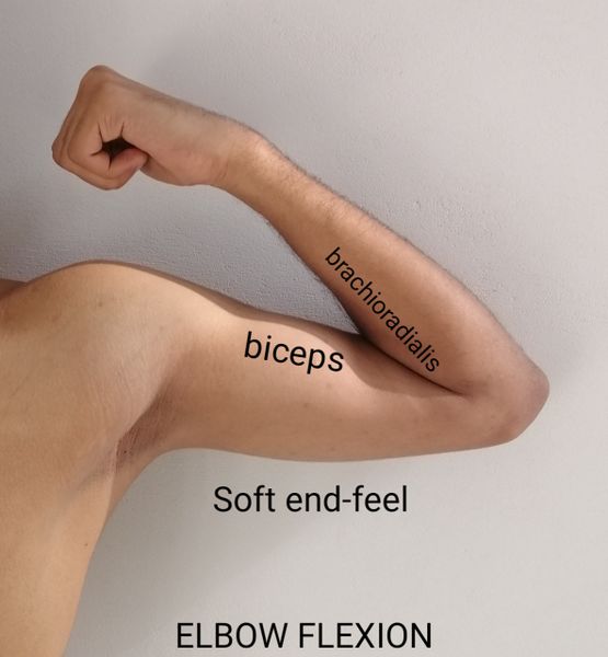 File:Elbow flextion end-feel.jpg