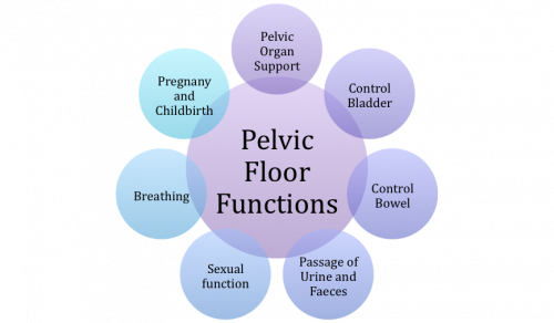 Electrical Stimulation For The Pelvic Floor - Incontinence & Prolapse
