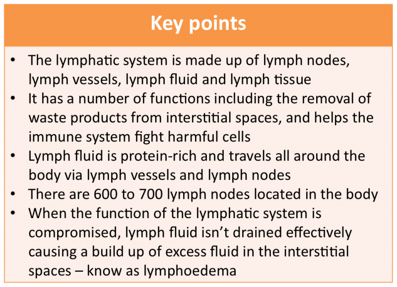 File:Lymphatic system key points.png