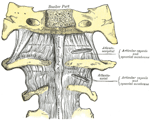 anterior atlanto occipital membrane