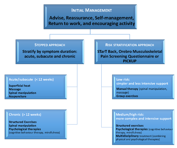 File:Low-Back Pain Stratified Management.png