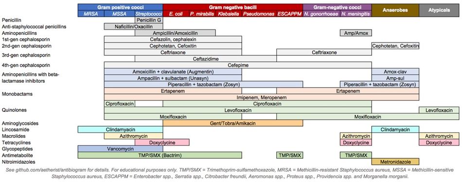 Antibiotics coverage diagram.jpg