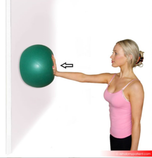 Scapula Proprioception with Ball.png