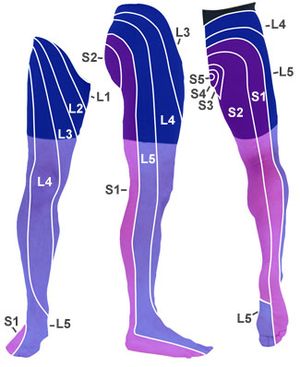 Electrode placement and settings for TENS that I found useful for L5 S1  sciatica. Descriptions in comments. : r/Sciatica