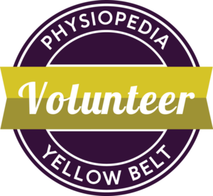 648px-Yellow-belt.png