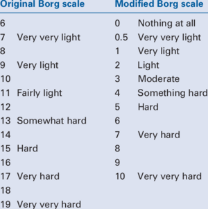 Original-and-modified-Borg-scales.png