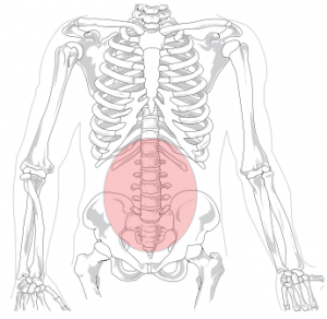 Chronic Low Back Pain Physiopedia