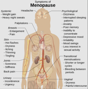 Head to toe… how the menopause affects your body (and it's NOT